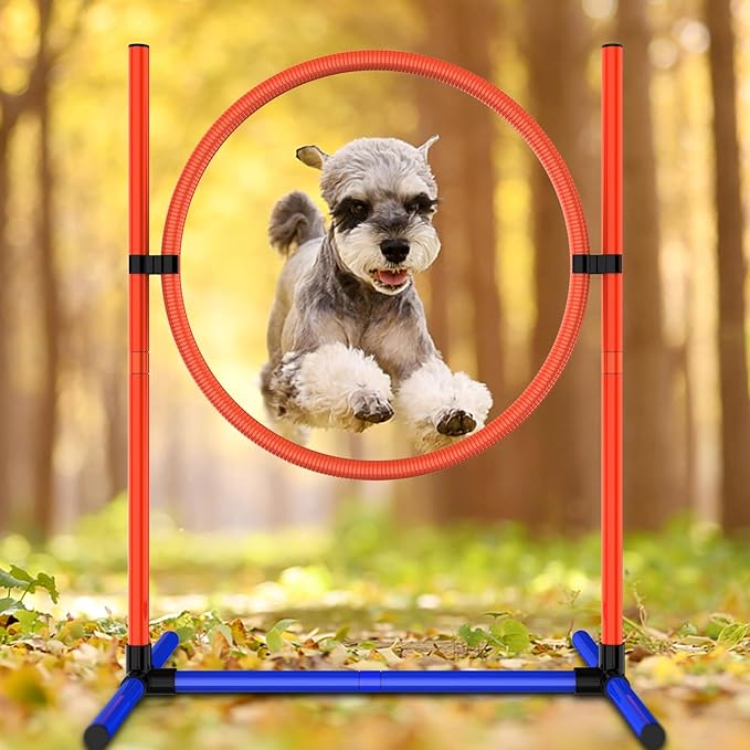 2-Set Adjustable Dog Agility Training Equipment for Backyard Set for Dogs