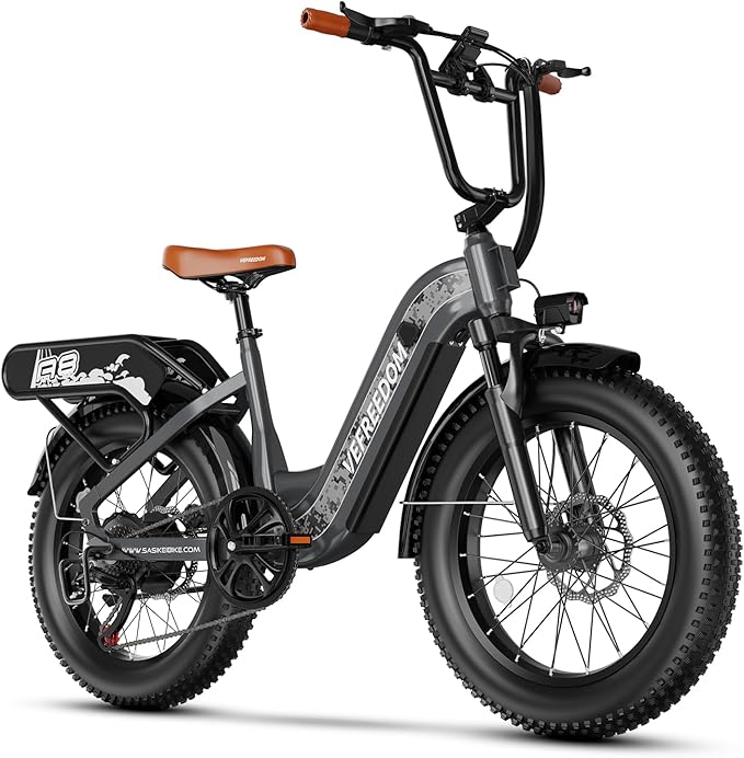 1500W Peak Motor Electric Bike for Adults Up to 80 Miles 30MPH Dirt Ebike 20" x 4 Fat Tire 48V 20Ah Removable Battery Mountain E Bike Commuter Full Suspension Bicycles for Men Women