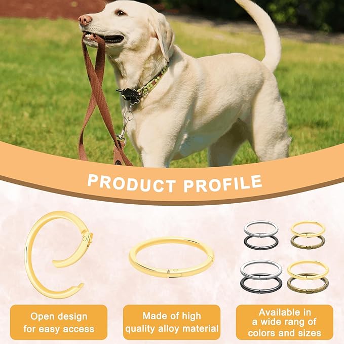 12Pack 2" Large Round Carabiner Clips, Metal Spring O Rings for Organizer Key Rings, Paracord Keychain Lanyard, Pet Chains, Purse Hardware, Key Snap Hooks DIY Accessory (Assorted)