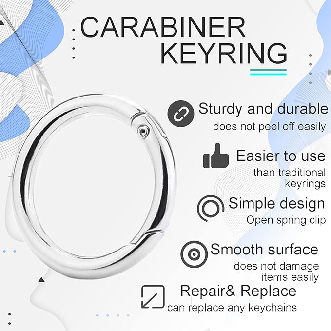10Pack 1 Inch Metal Spring O Rings Clip Keychain, Round Carabiner Clips Keyrings Snap Hook Buckle, Purse Shoulder Bag Chain Rings Clip Replacement Paracord Keychain Lanyard Leather DIY Crafts (Silver)