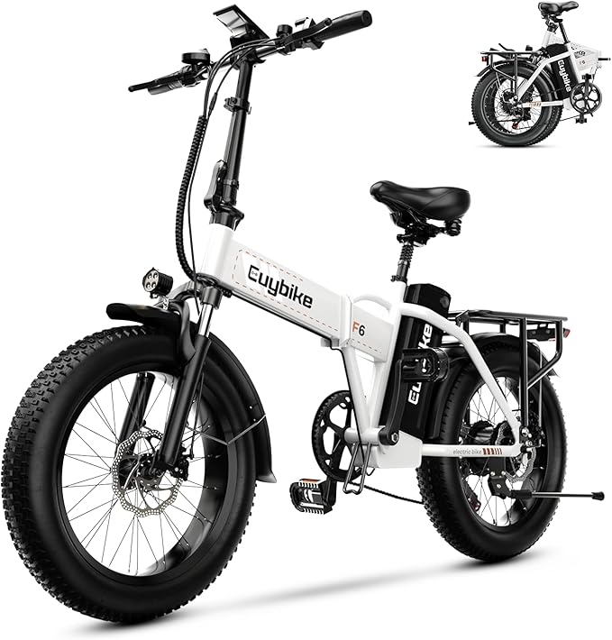 1000W Folding Electric Bike, 48V 20AH Large Removable Battery E Bike, 30+MPH, 80 Miles Max Range, 20" Fat Tire Electric Bike for Adults, Adult Electric Bicycles for Commute Beach Snow