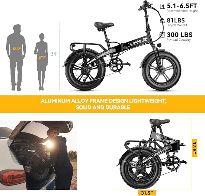 1000W Folding Electric Bike, 48V 20AH Large Removable Battery E Bike,30+MPH, 80 Miles Max Range, 20" Fat TireElectric Bike for Adults, Adult Electric Bicycles for CommuteBeach Snow