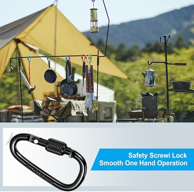 10 Pack Aluminum D Ring Key Rings Hiking Clips Locking Carabiner for Hiking Camping Fishing and Outdoor Use，Clips with Screw Gate Multicolored