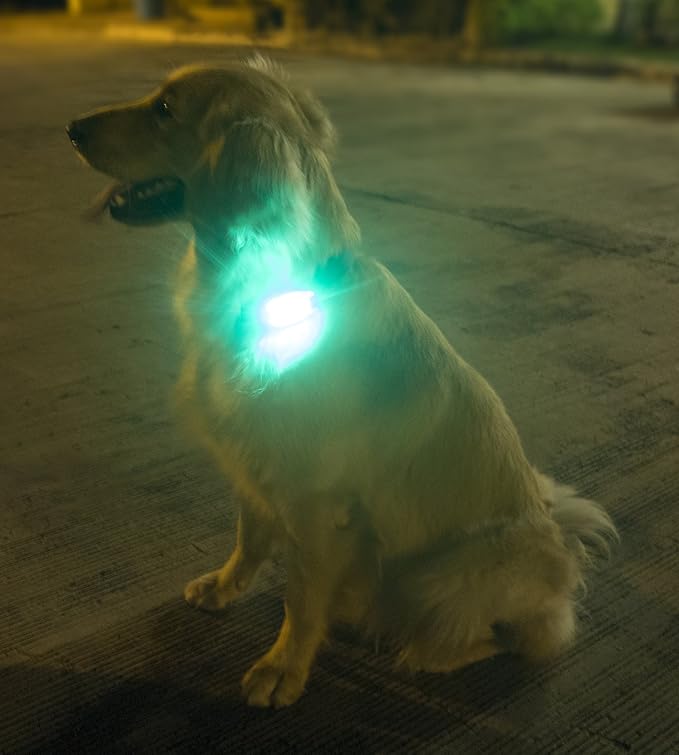 LED Safety Light (2 Pack) - Clip On Strobe/Running Lights for Runners, Dog, Bike, Walking, Boat, Kayak, Stroller and More - High Visibility Accessories for Your Reflective Gear, Bicycle