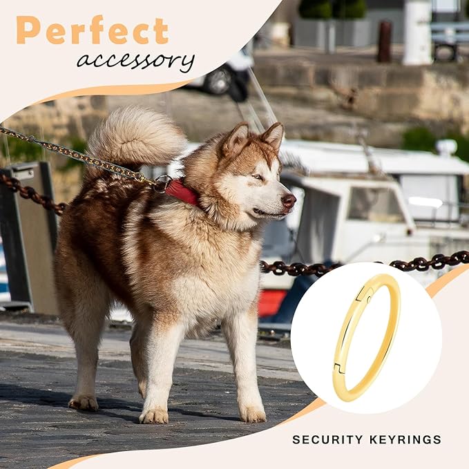 10Pack 2" Large Round Carabiner Clips, Metal Spring O Rings for Organizer Key Rings, Paracord Keychain Lanyard, Pet Chains, Purse Hardware, Key Snap Hooks DIY Accessory (Bronze)